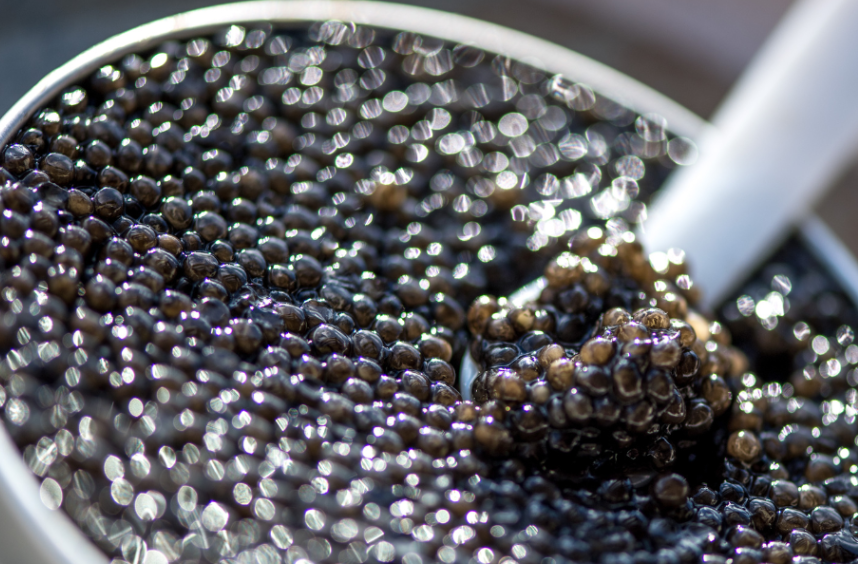 déguster du caviar - Caviar d'Aquitaine